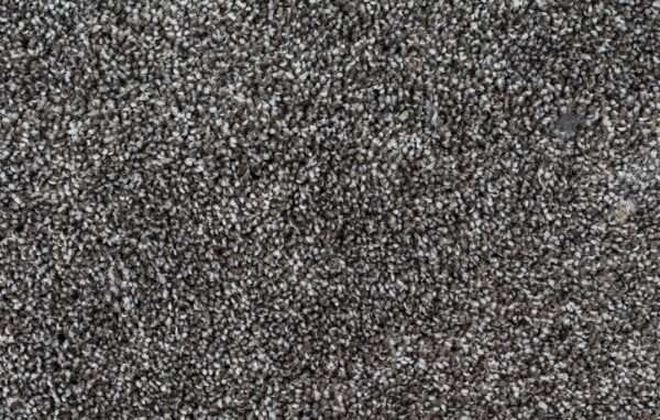 Turkish PET Polyester machine tufted carpet - Simmering Smoke - 55 oz sold per square foot or square yard