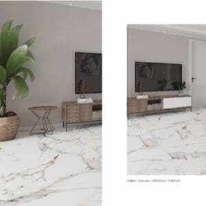 Golden Satuario 24x48