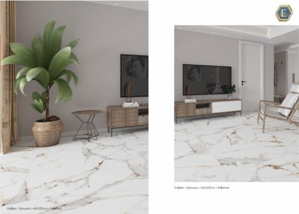 Golden Satuario 24x48